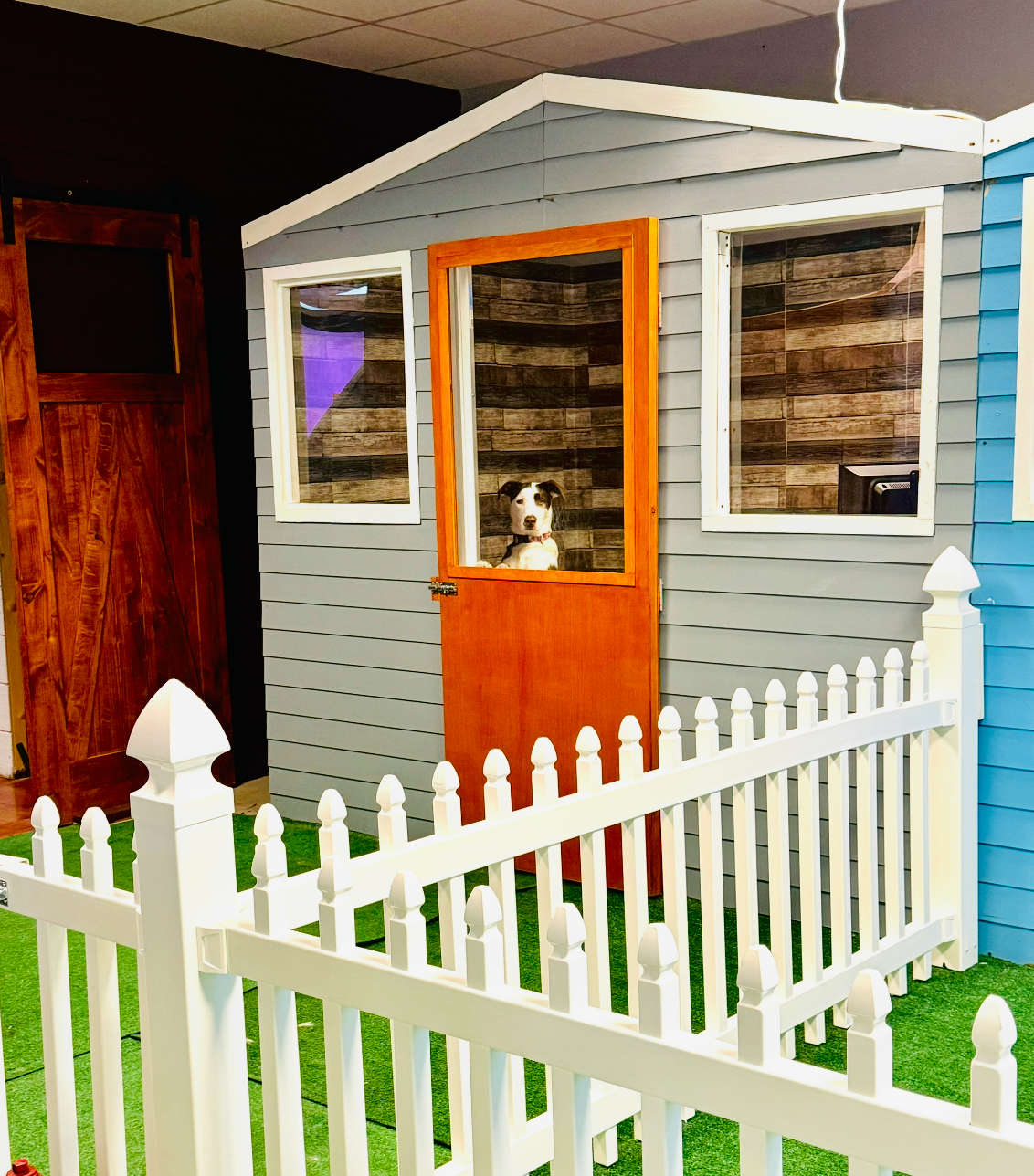 Dog boarding at Woof Resorts